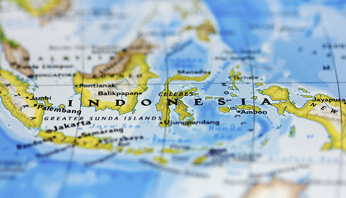 سیستم نظارت تصویری اندونزی تا سال 2022 به بازار 203 میلیون دلاری دست خواهد یافت.